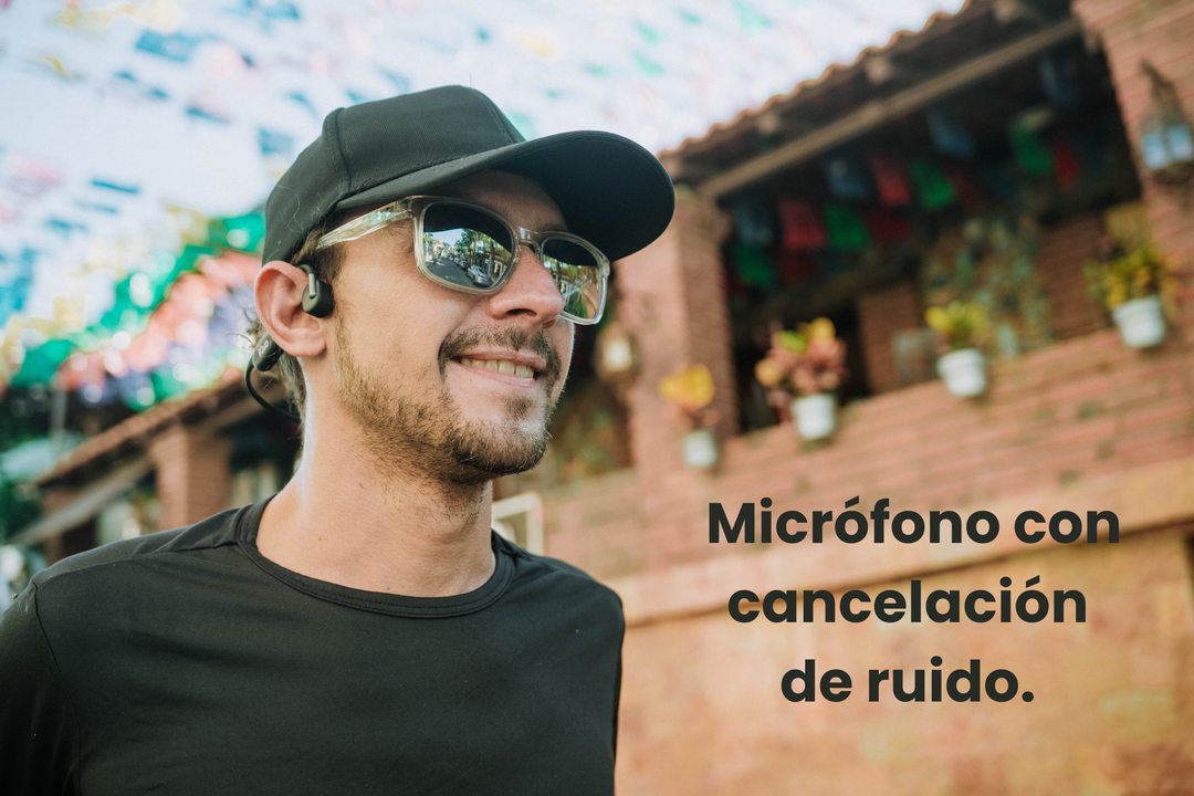 Compra tus Kivo Alba